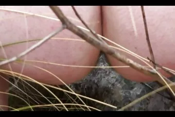 Trinh sex lồn hồng nữ cọ sát vào gối.