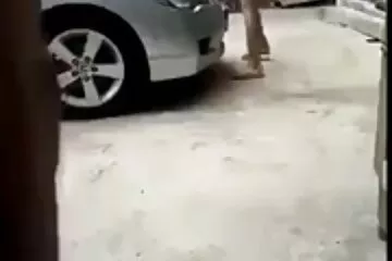 Mỗi cô gái ít nhất một lần được đưa gái khoe lồn vào thiên nhiên để đụ.